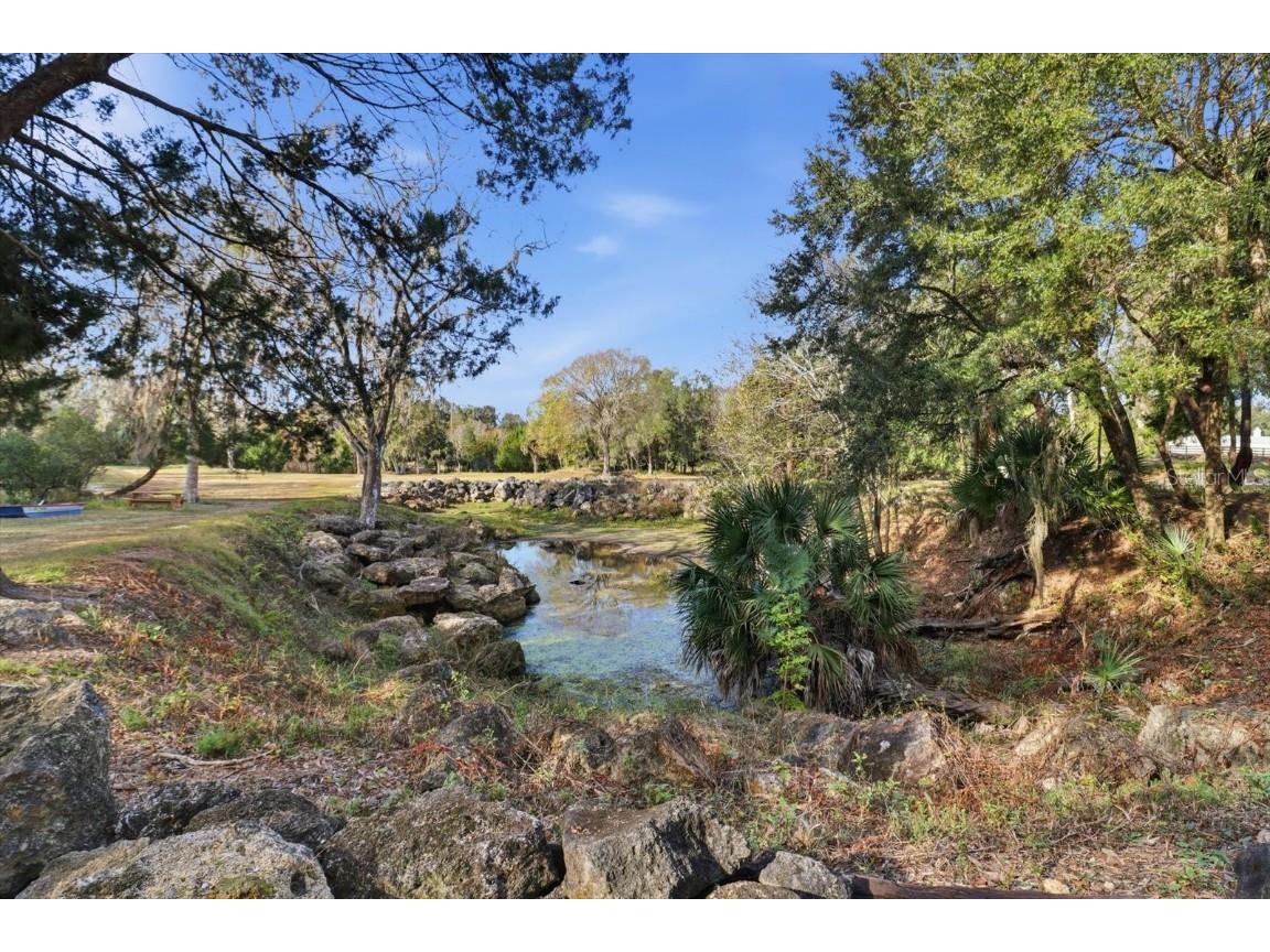 8792 S Steed Terrace Floral City FL 34436 OM715134 image15