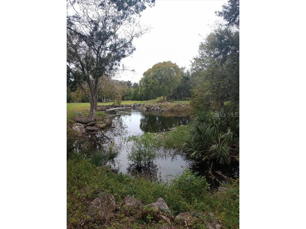8792 S Steed Terrace Floral City FL 34436 OM715134 image18