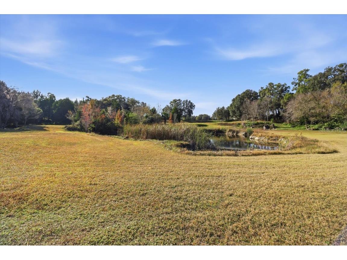 8792 S Steed Terrace Floral City FL 34436 OM715134 image24