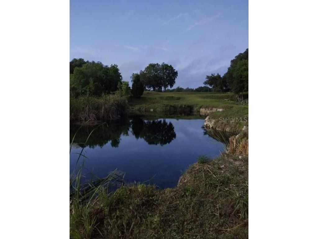 8792 S Steed Terrace Floral City FL 34436 OM715134 image29