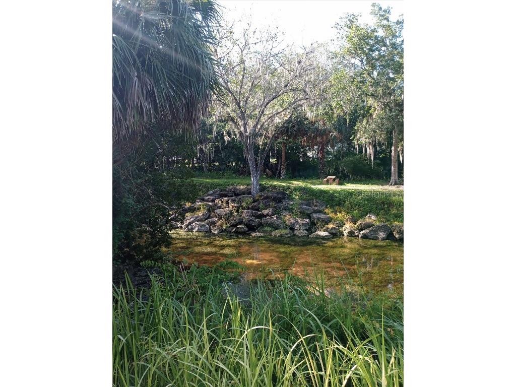 8792 S Steed Terrace Floral City FL 34436 OM715134 image41