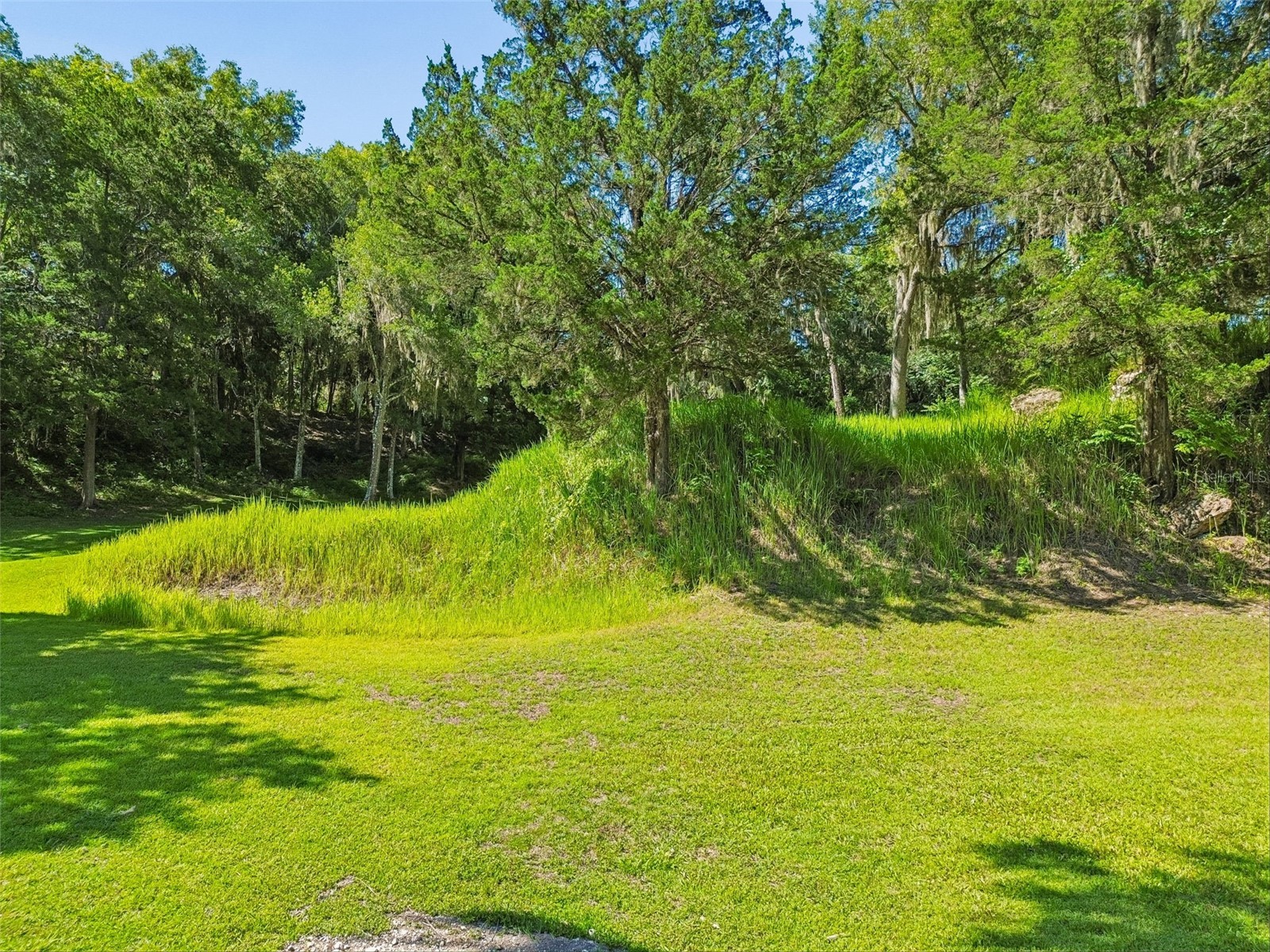 8792 S Steed Terrace Floral City FL 34436 TB8520345 image14
