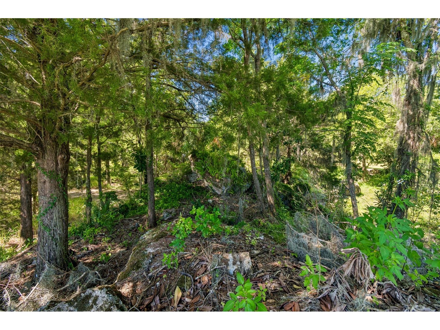 8792 S Steed Terrace Floral City FL 34436 TB8520345 image15