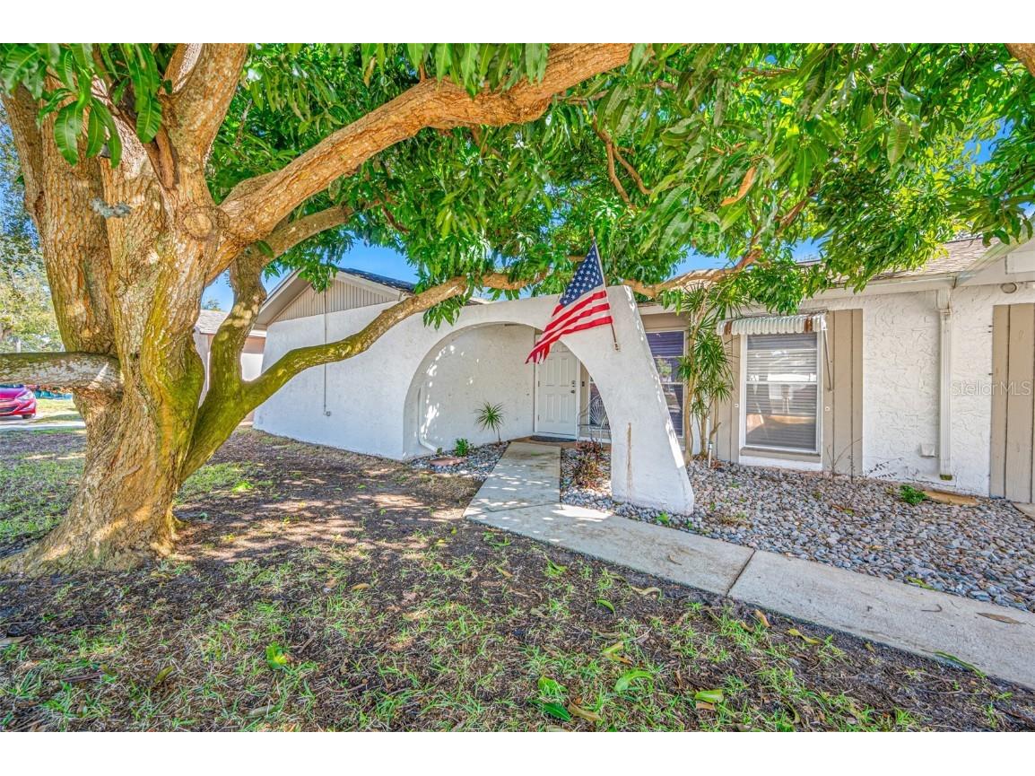 8795 Orange Blossom Drive Seminole FL 33772 L4944341 image1