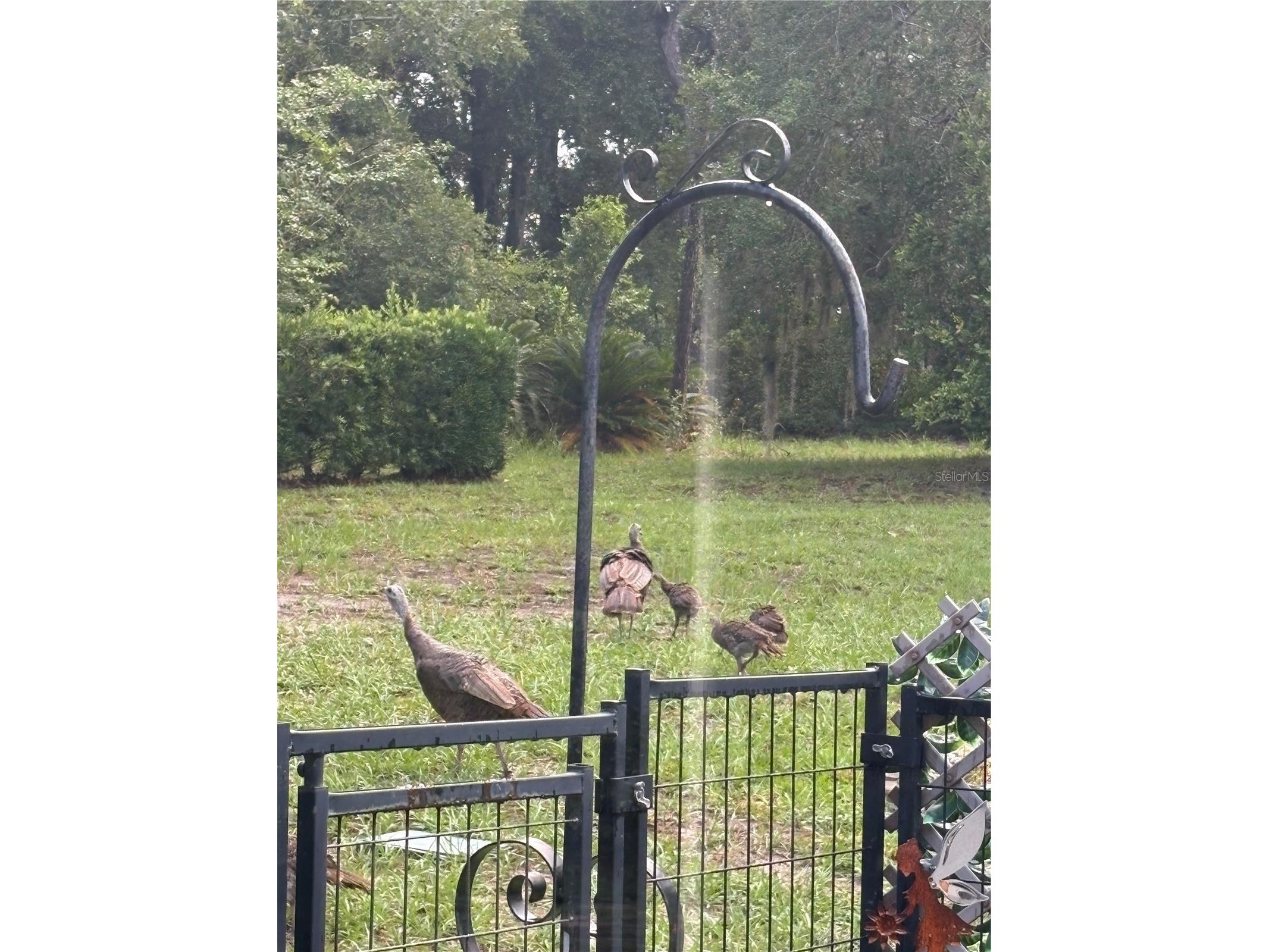 8795 SW 108th Street Ocala FL 34481 OM727499 image27