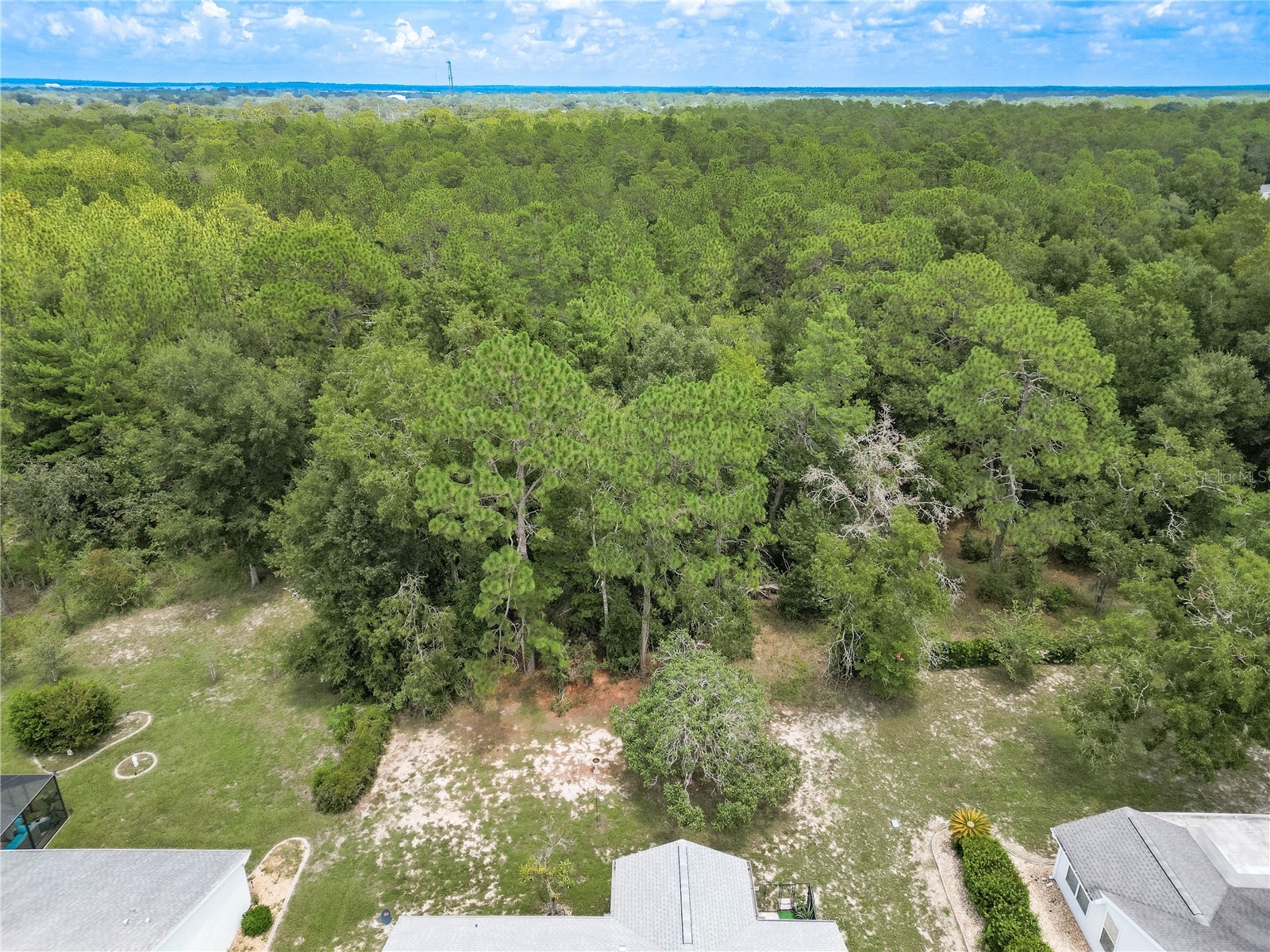 8795 SW 108th Street Ocala FL 34481 OM727499 image31