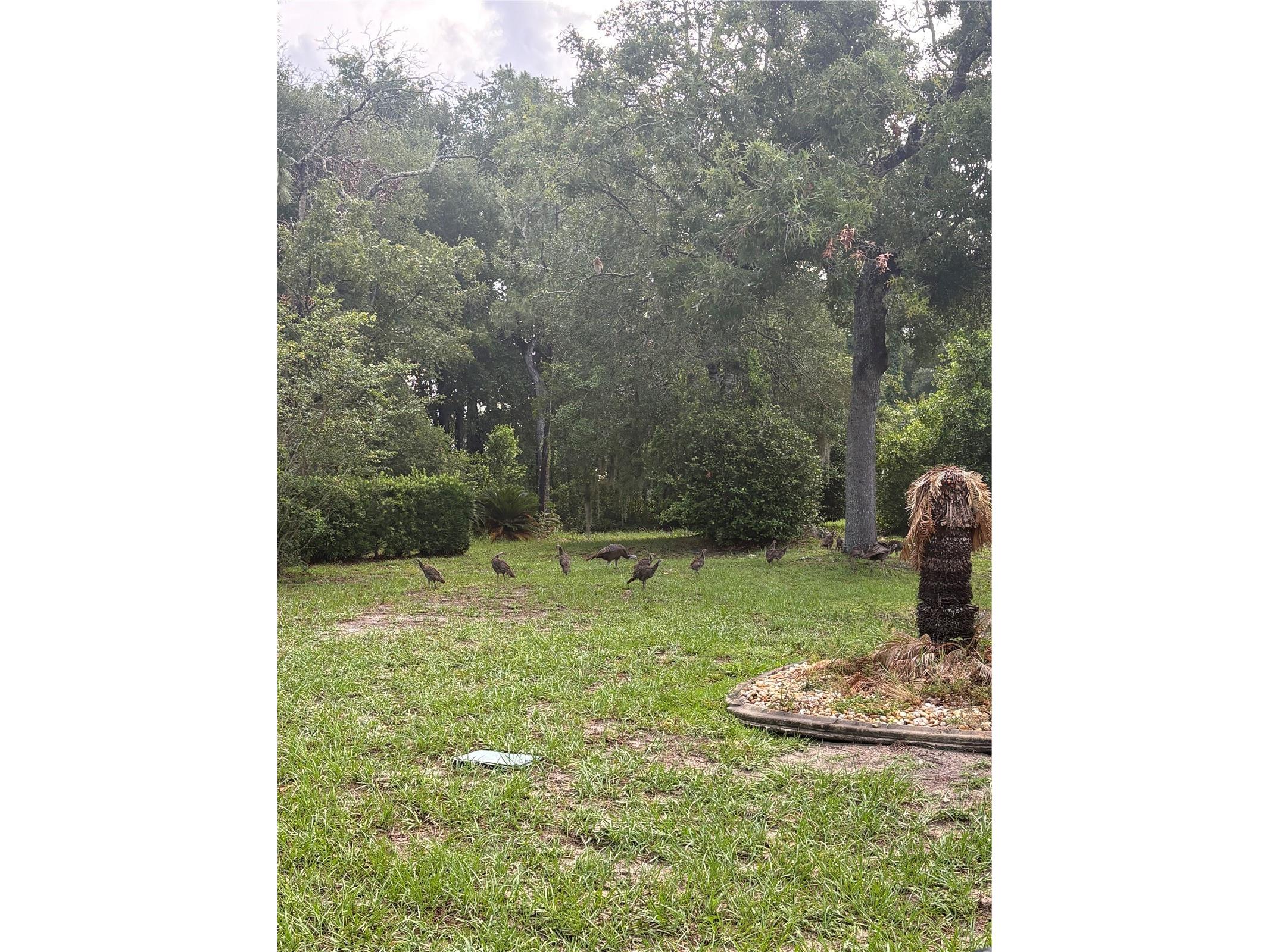 8795 SW 108th Street Ocala FL 34481 OM727499 image50