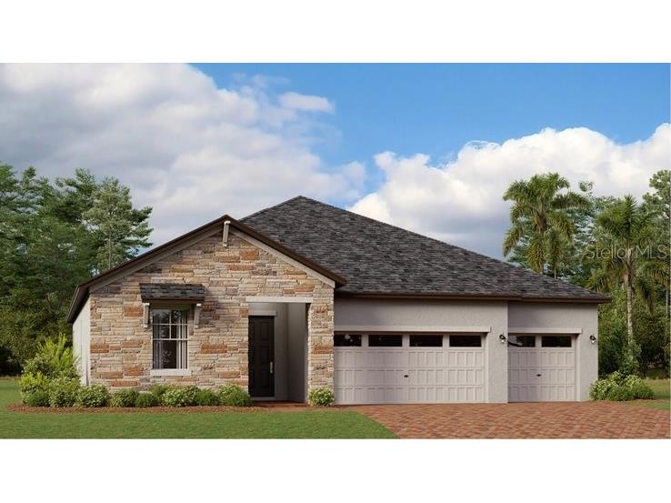 8796 Little Bluestem Drive Land O Lakes FL 34637 T3459731 image1