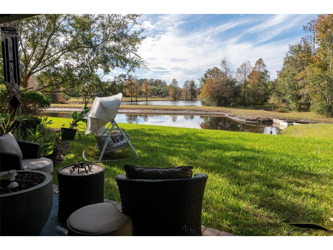 8797 Bella Vita Circle Land O Lakes FL 34637 TB8430391 image17