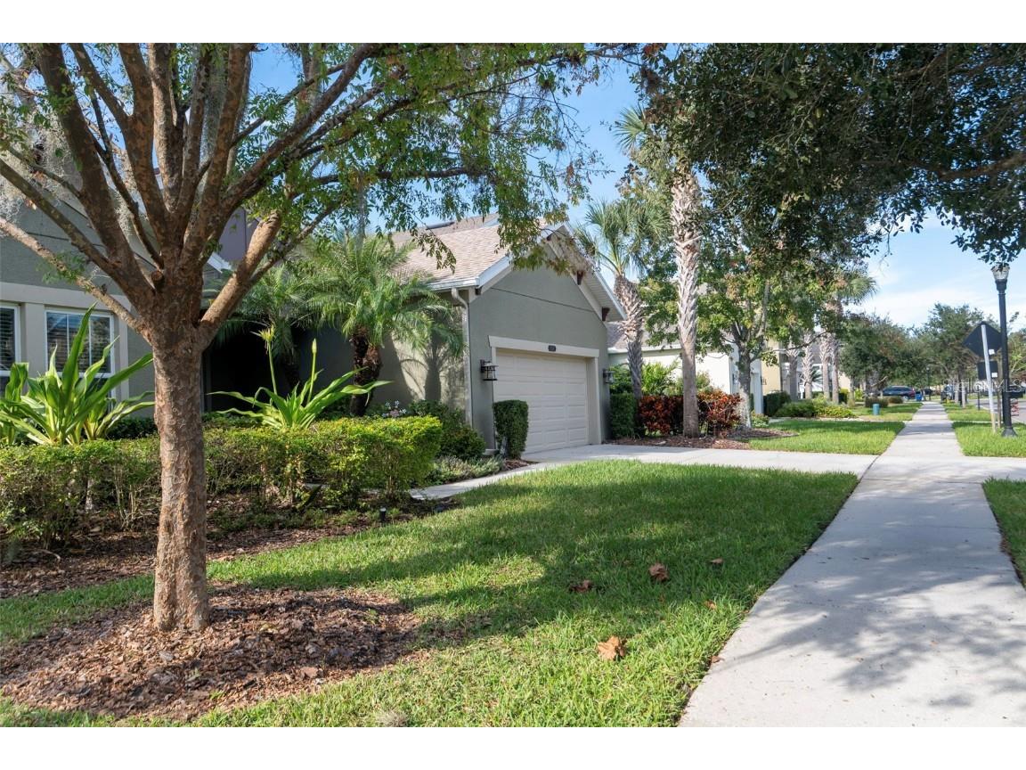 8797 Bella Vita Circle Land O Lakes FL 34637 TB8430391 image2