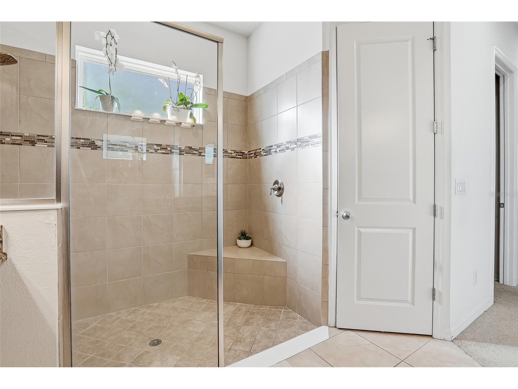 8797 Bella Vita Circle Land O Lakes FL 34637 TB8430391 image34