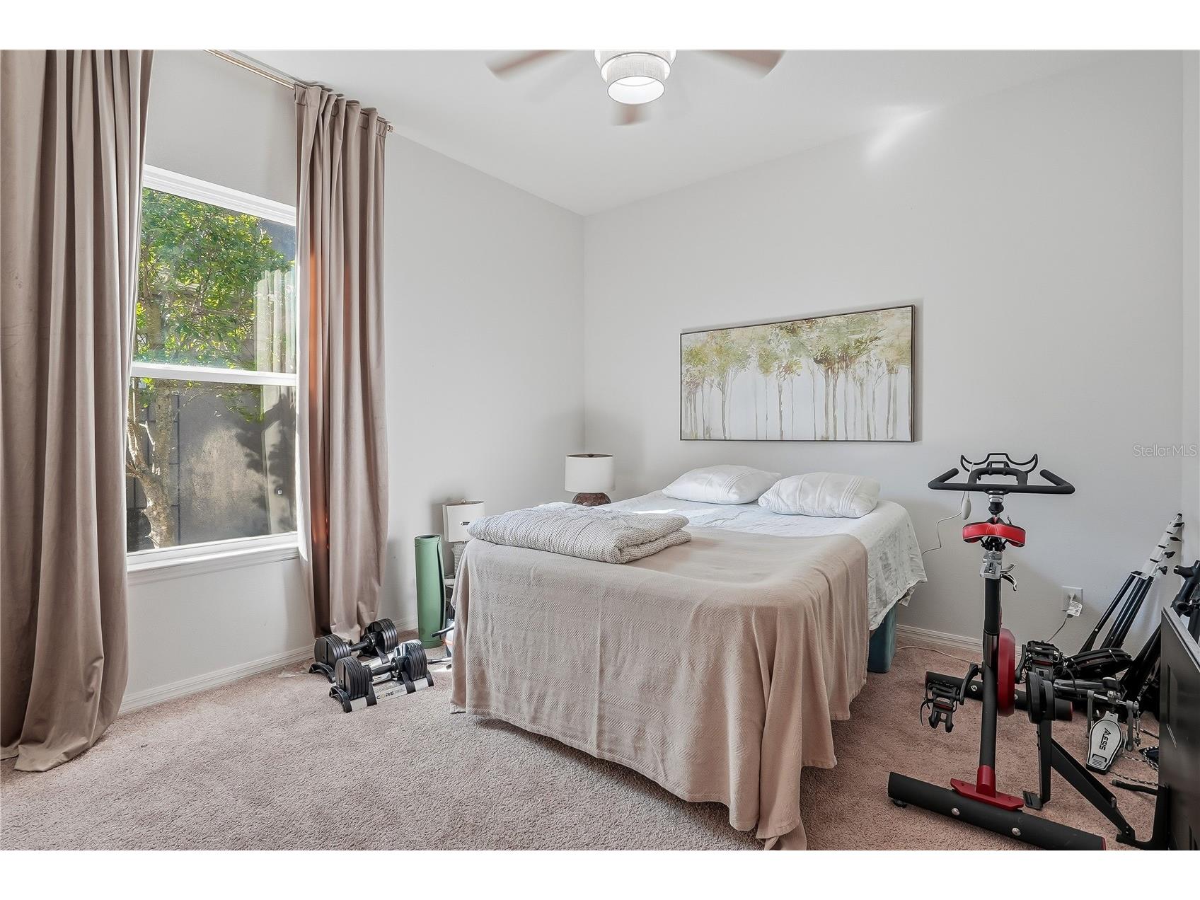 8797 Bella Vita Circle Land O Lakes FL 34637 TB8430391 image35