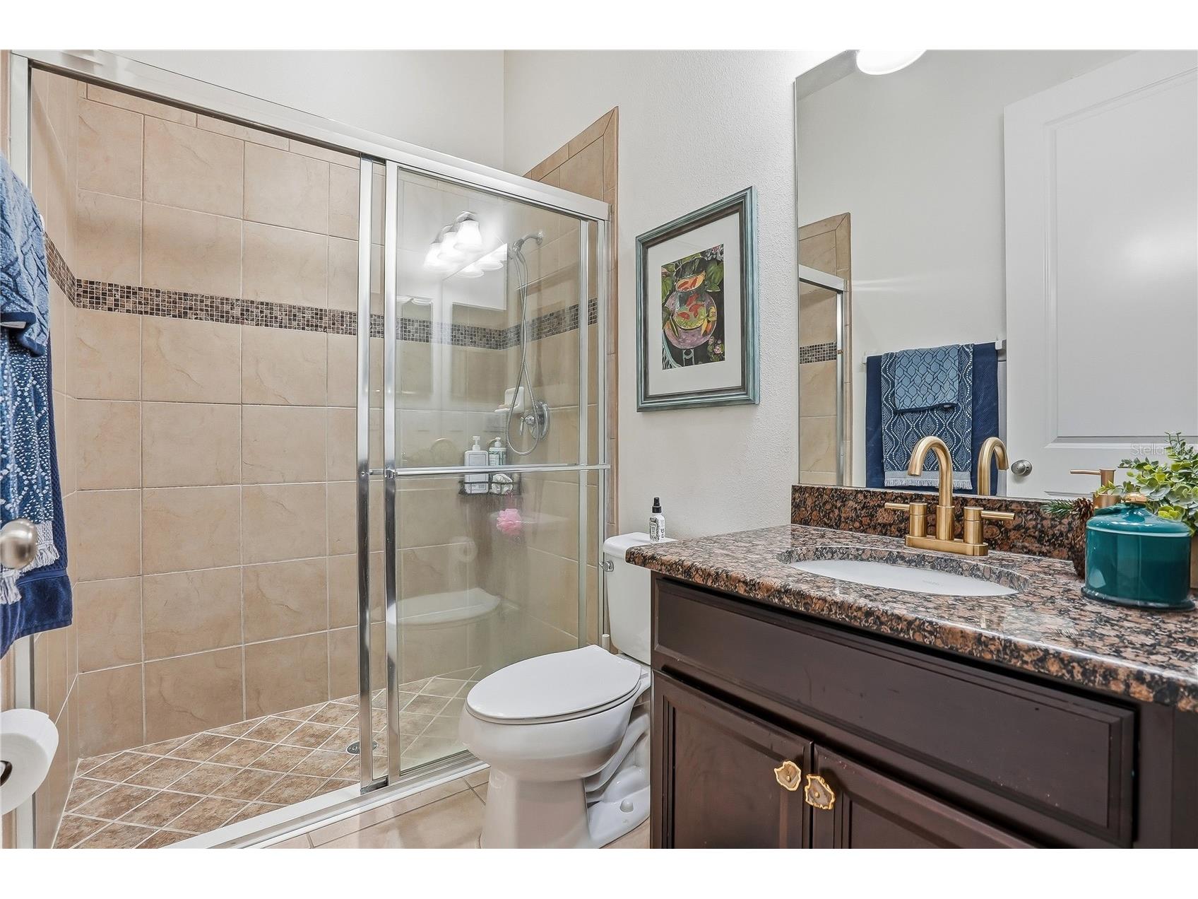 8797 Bella Vita Circle Land O Lakes FL 34637 TB8430391 image37