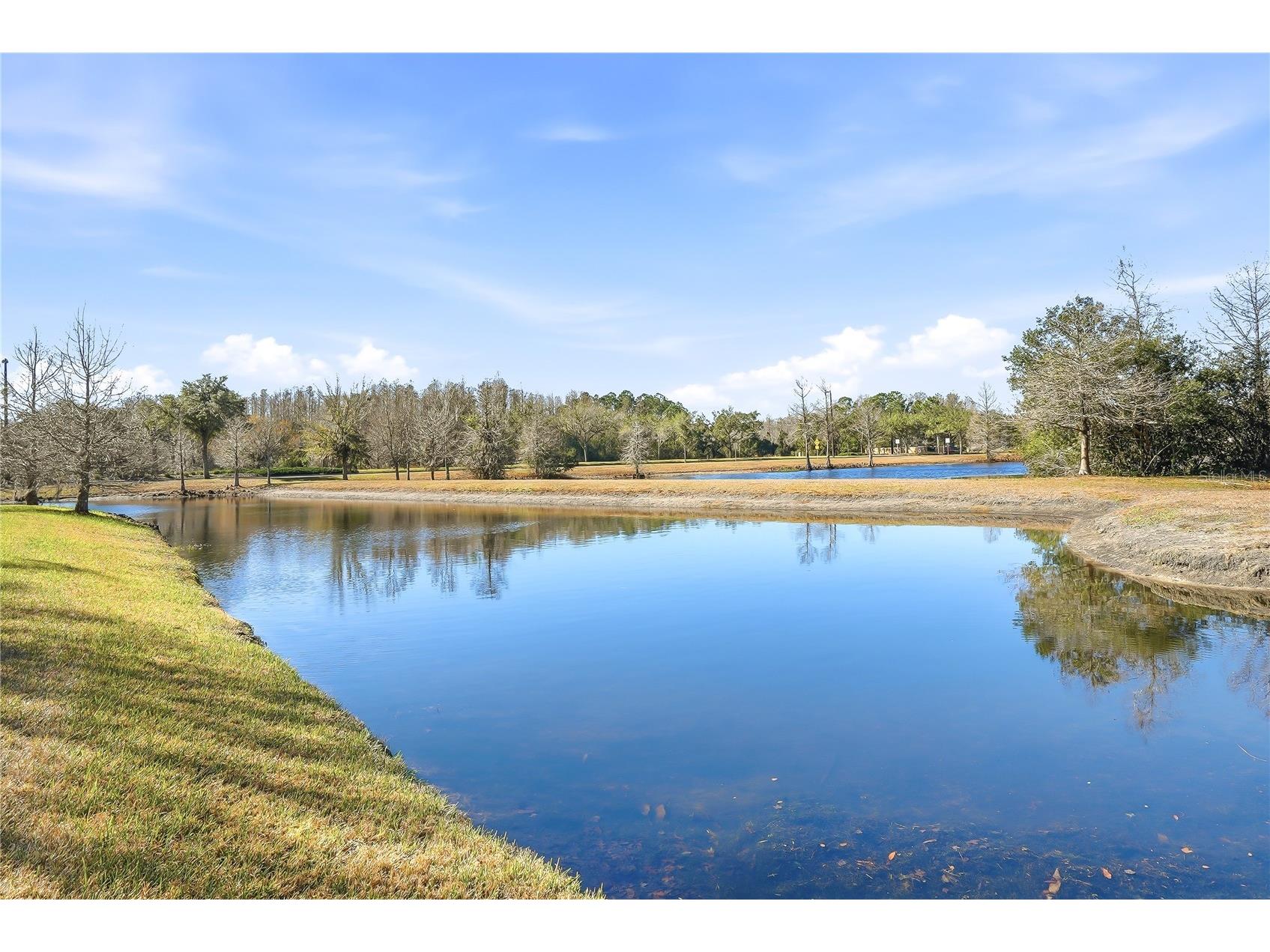 8797 Bella Vita Circle Land O Lakes FL 34637 TB8430391 image56