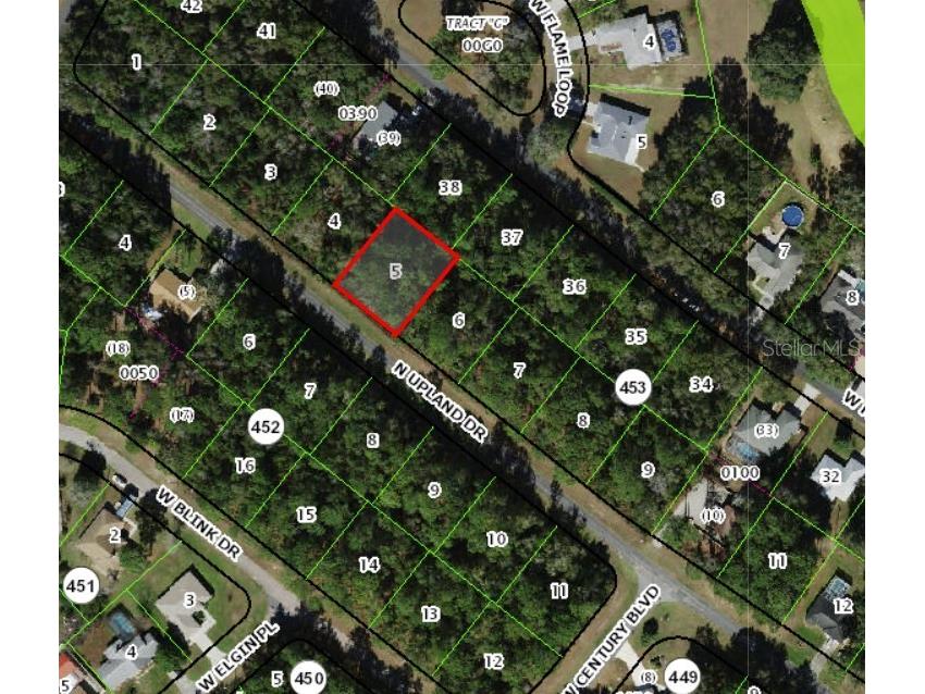 8797 N Upland Drive Citrus Springs FL 34434 OM712487 image1