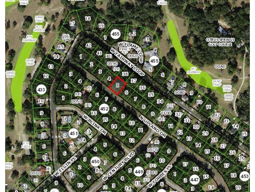 8797 N Upland Drive Citrus Springs FL 34434 OM712487 image2