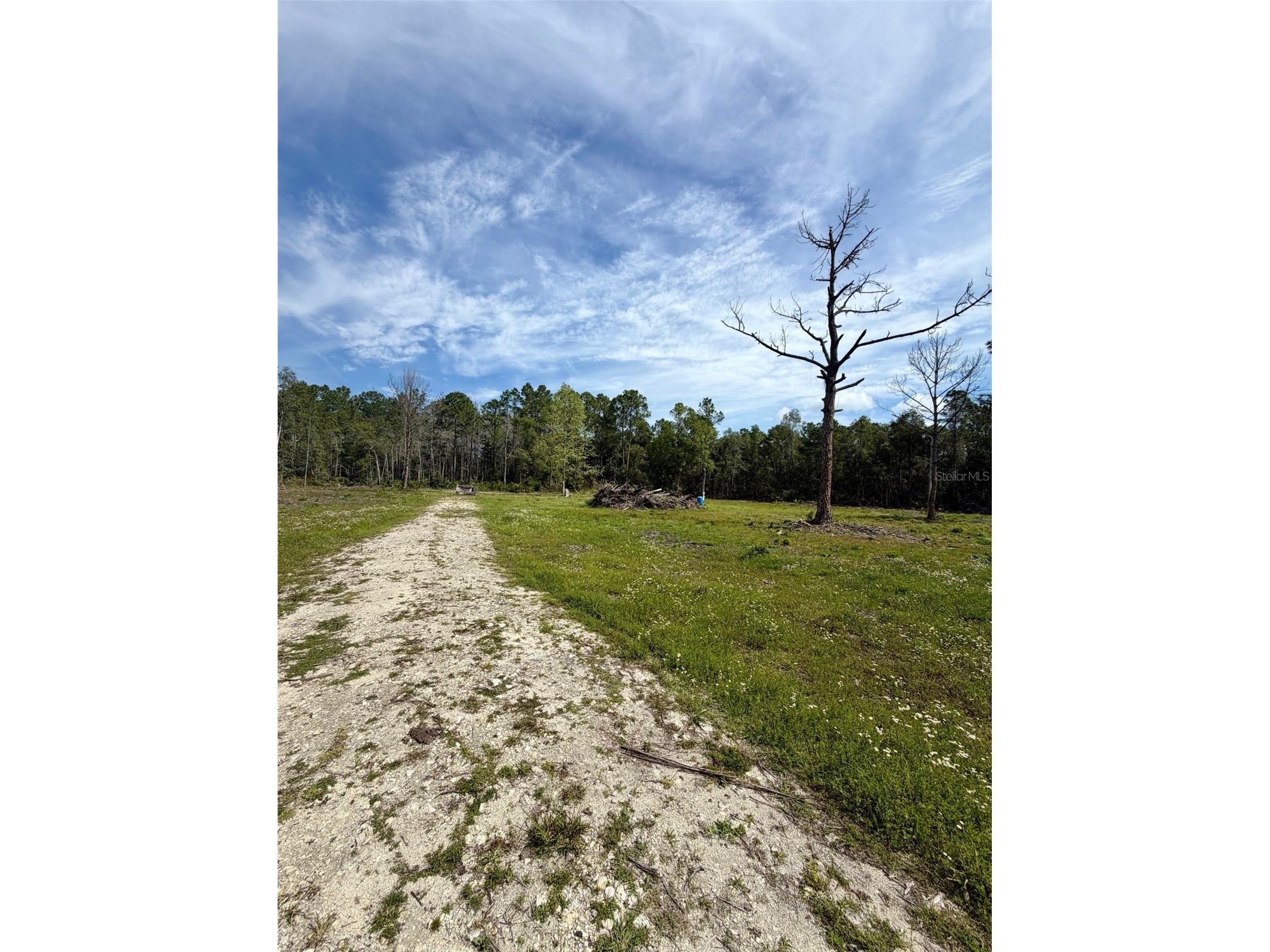 8798 E Highway 318 Citra FL 32113 OM721326 image11