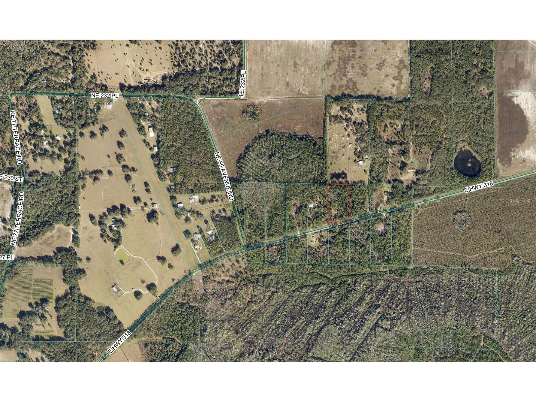 8798 E Highway 318 Citra FL 32113 OM721326 image4