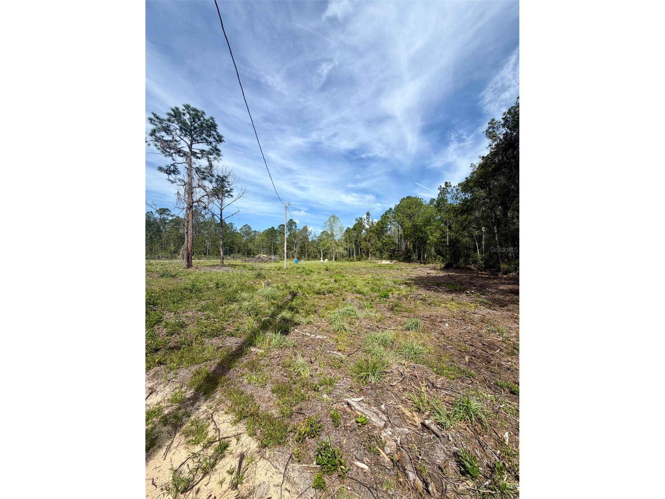 8798 E Highway 318 Citra FL 32113 OM721326 image8