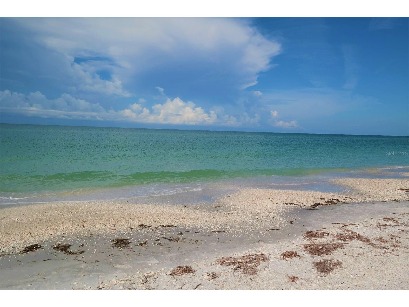 8798 Grand Avenue Placida FL 33946 - GULG OF AMERICA D6145560 image64