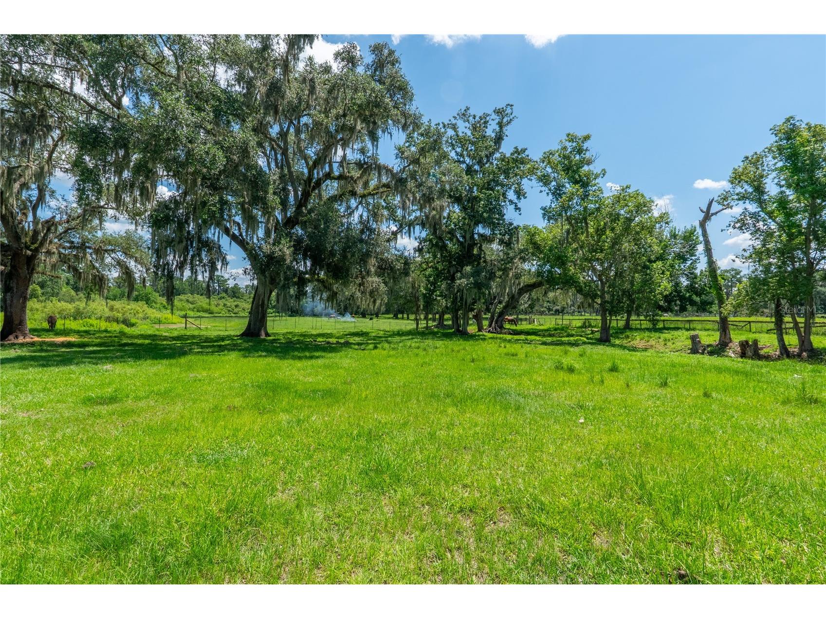 88 Culbreath Road Brooksville FL 34602 TB8526063 image28
