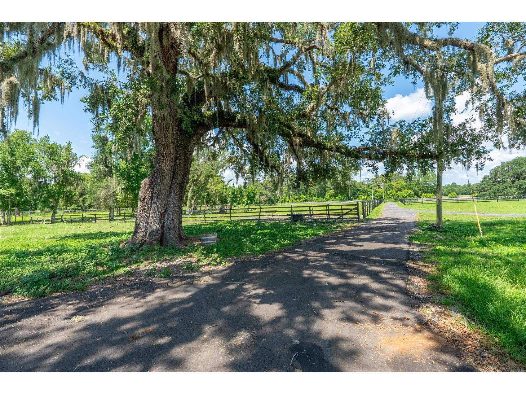 88 Culbreath Road Brooksville FL 34602 TB8526063 image31