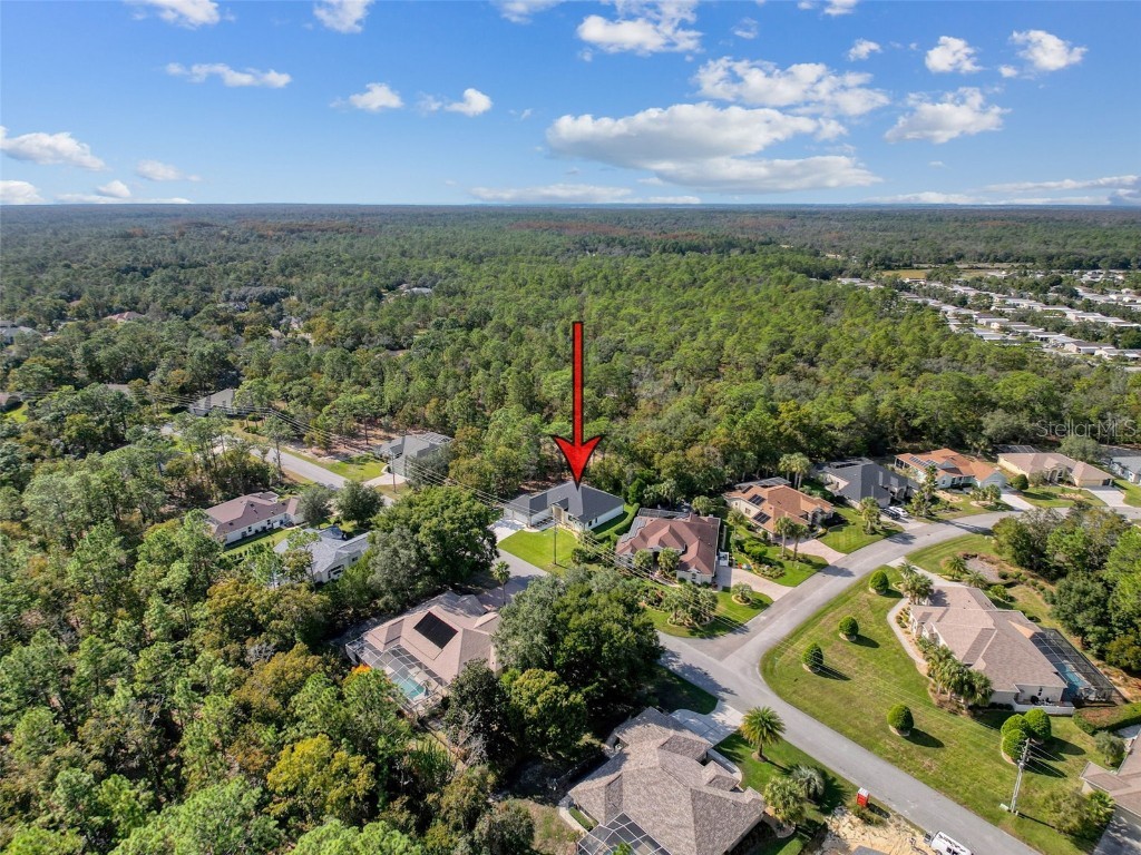 88 Daisy Street Homosassa FL 34446 W7879898 image79