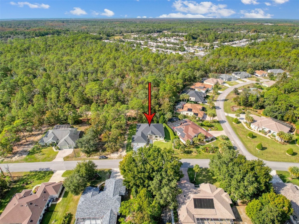 88 Daisy Street Homosassa FL 34446 W7879898 image83