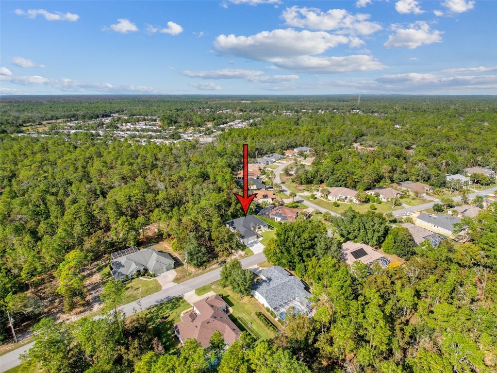 88 Daisy Street Homosassa FL 34446 W7879898 image85