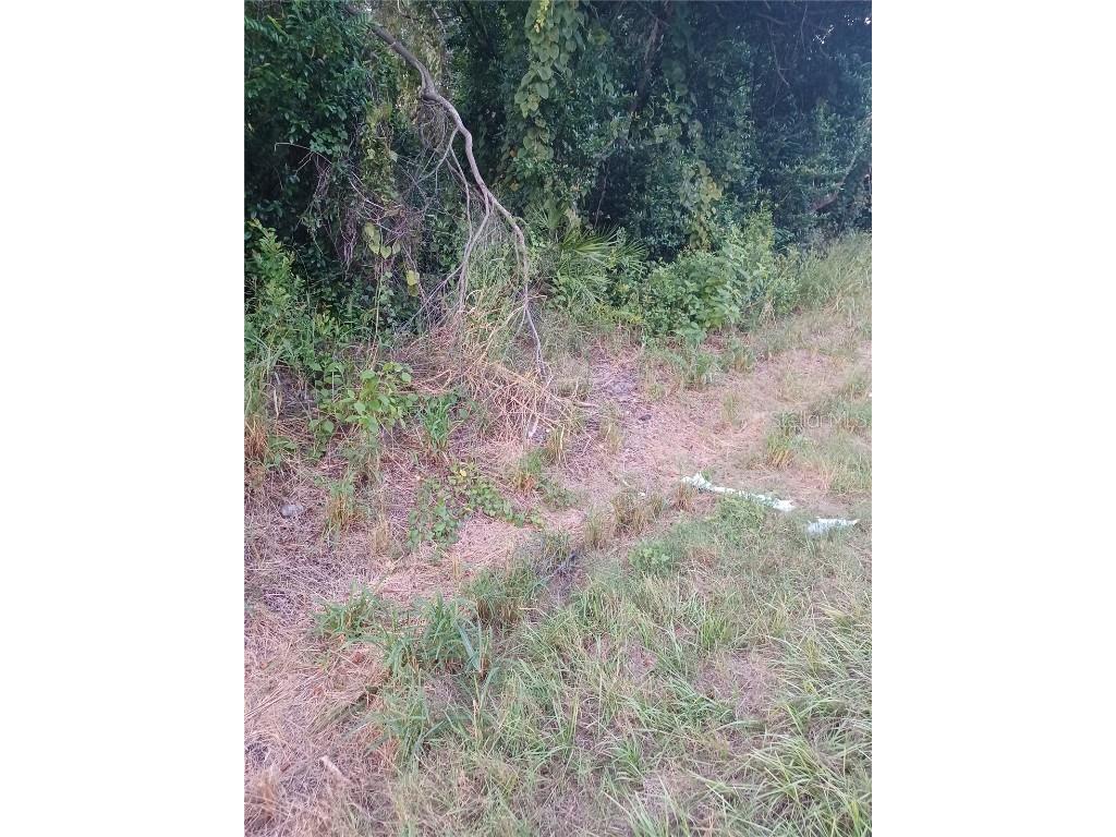 88 Dirksen Drive Debary FL 32713 V4945327 image1