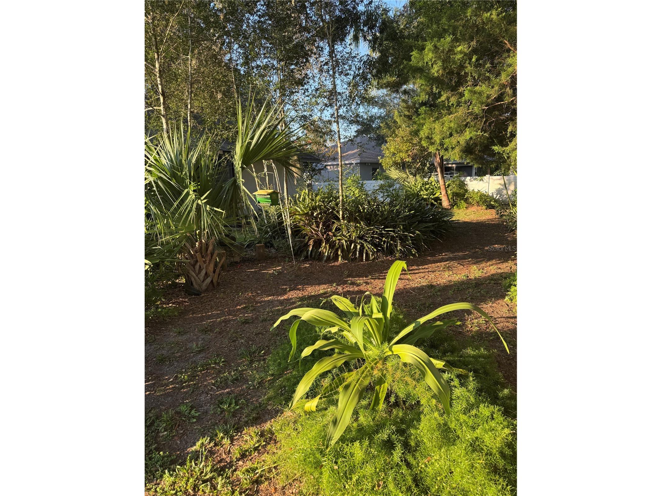 88 Freeport Lane Palm Coast FL 32137 FC319455 image17