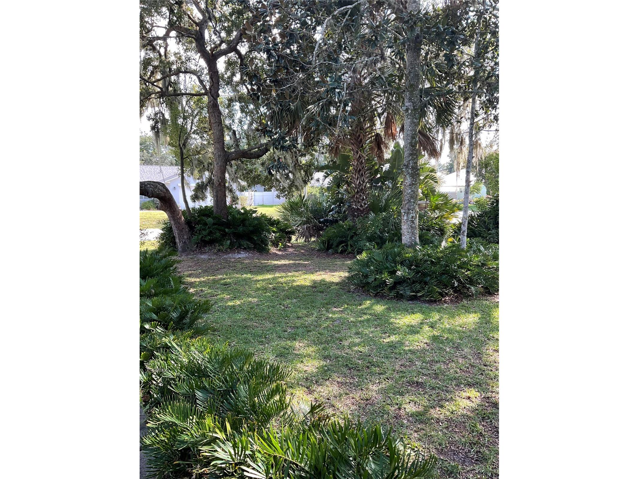 88 Freeport Lane Palm Coast FL 32137 FC319455 image4