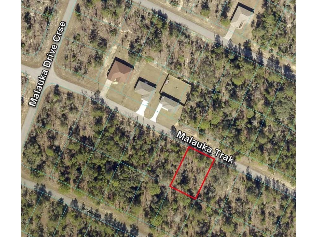 88 Malauka Track Ocklawaha FL 32179 O6139800 image1