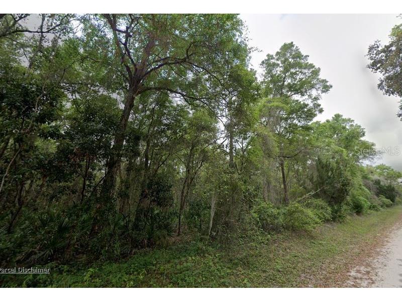 88 NE 463rd Avenue Old Town FL 32680 A4692247 image1