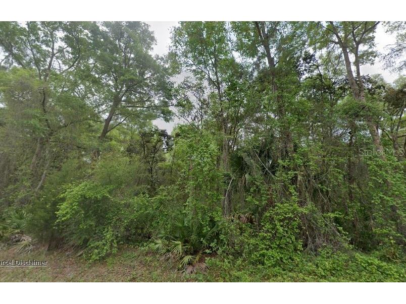 88 NE 463rd Avenue Old Town FL 32680 A4692247 image2