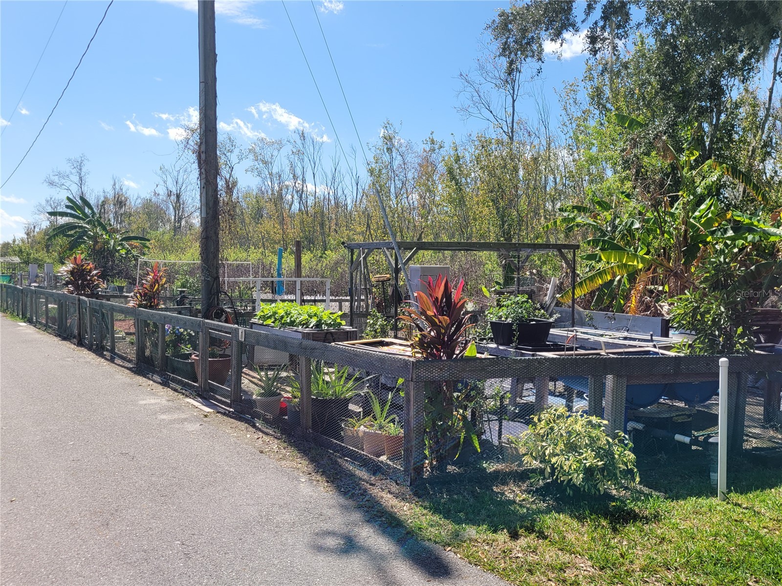 88 Straphmore Drive Haines City FL 33844 - LAKE HENRY P4938683 image80