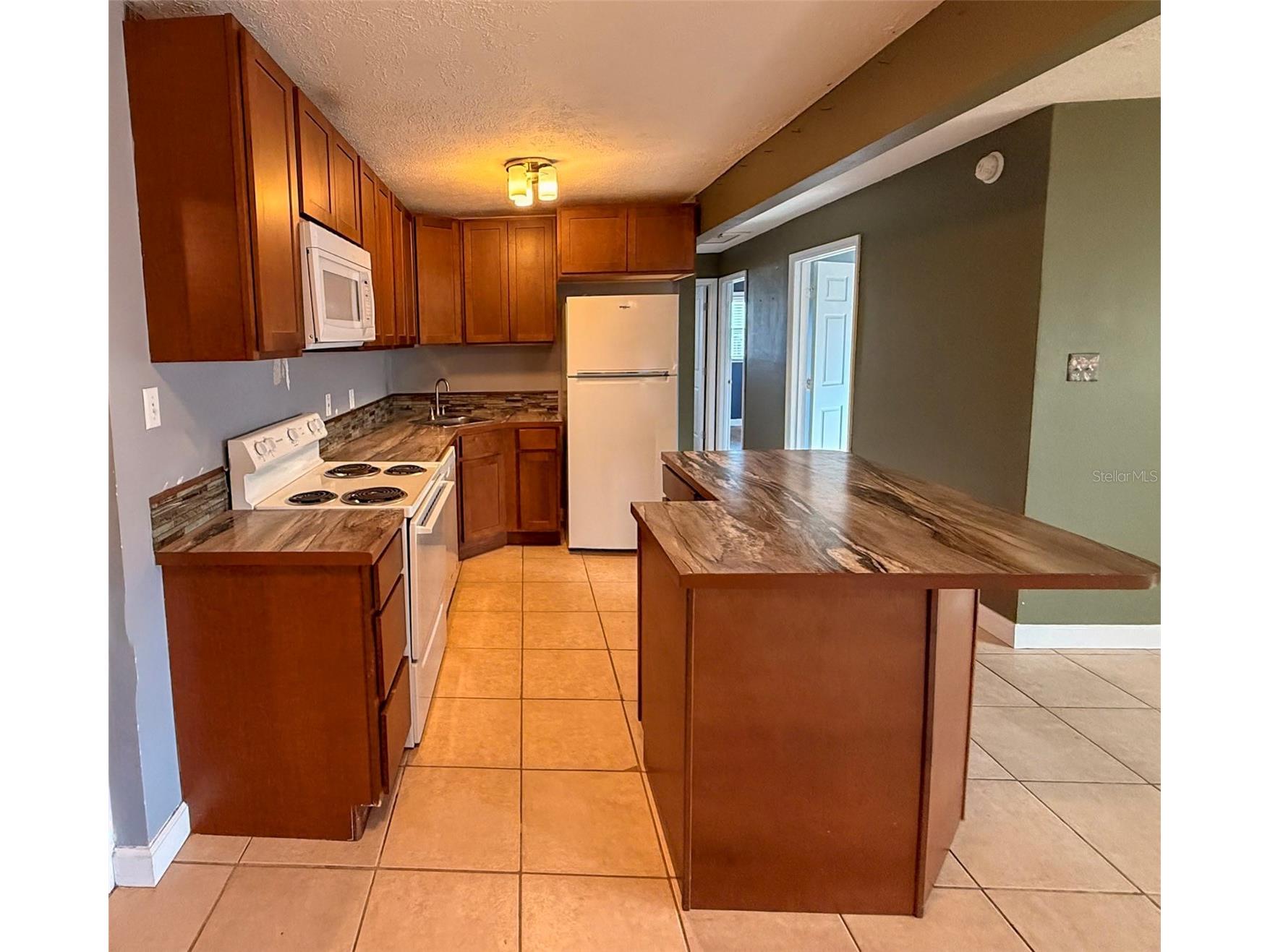 880 Emerald Dr Mount Dora FL 32757 O6416330 image10