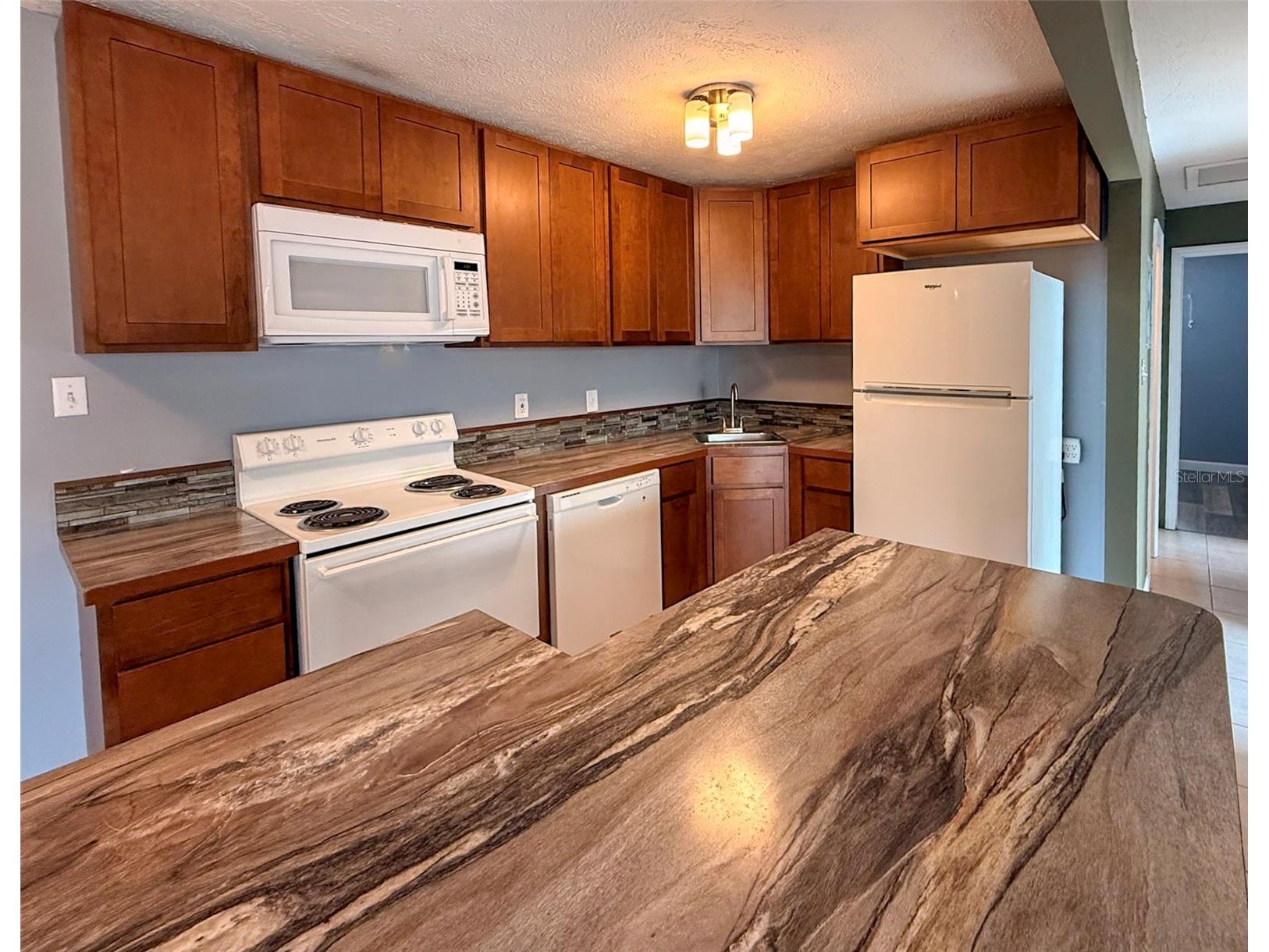 880 Emerald Dr Mount Dora FL 32757 O6416330 image11