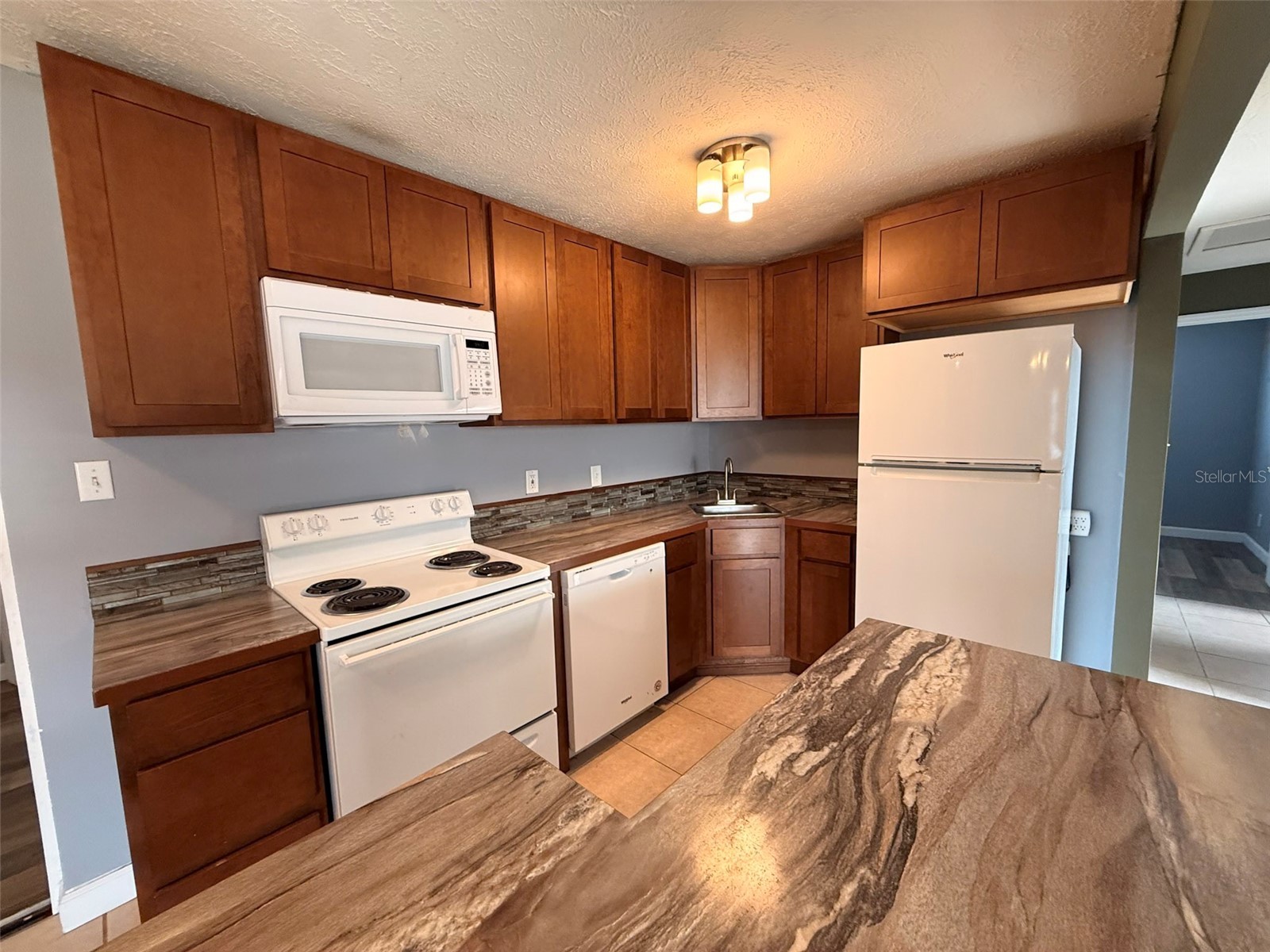 880 Emerald Dr Mount Dora FL 32757 O6416330 image13