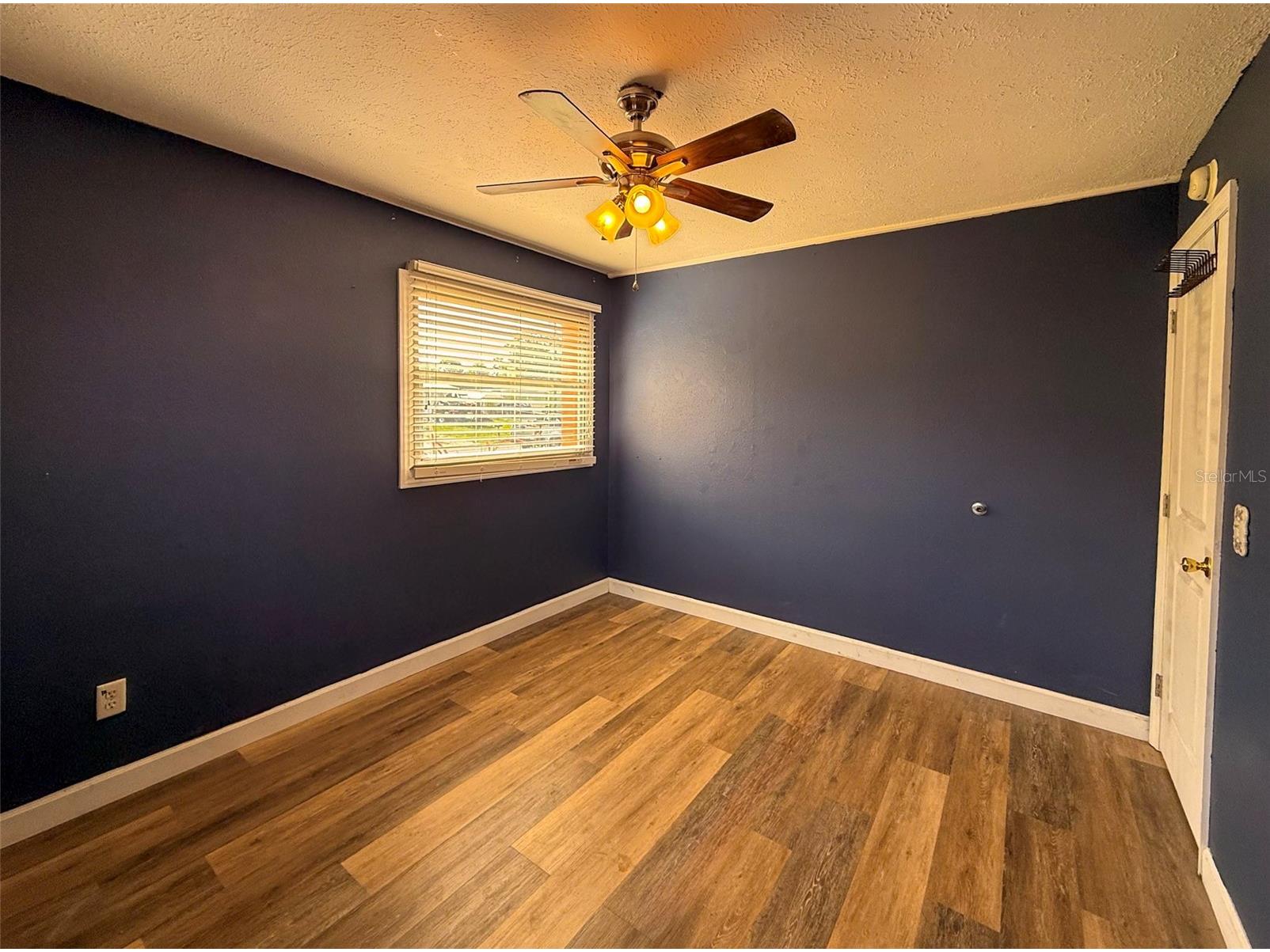 880 Emerald Dr Mount Dora FL 32757 O6416330 image21