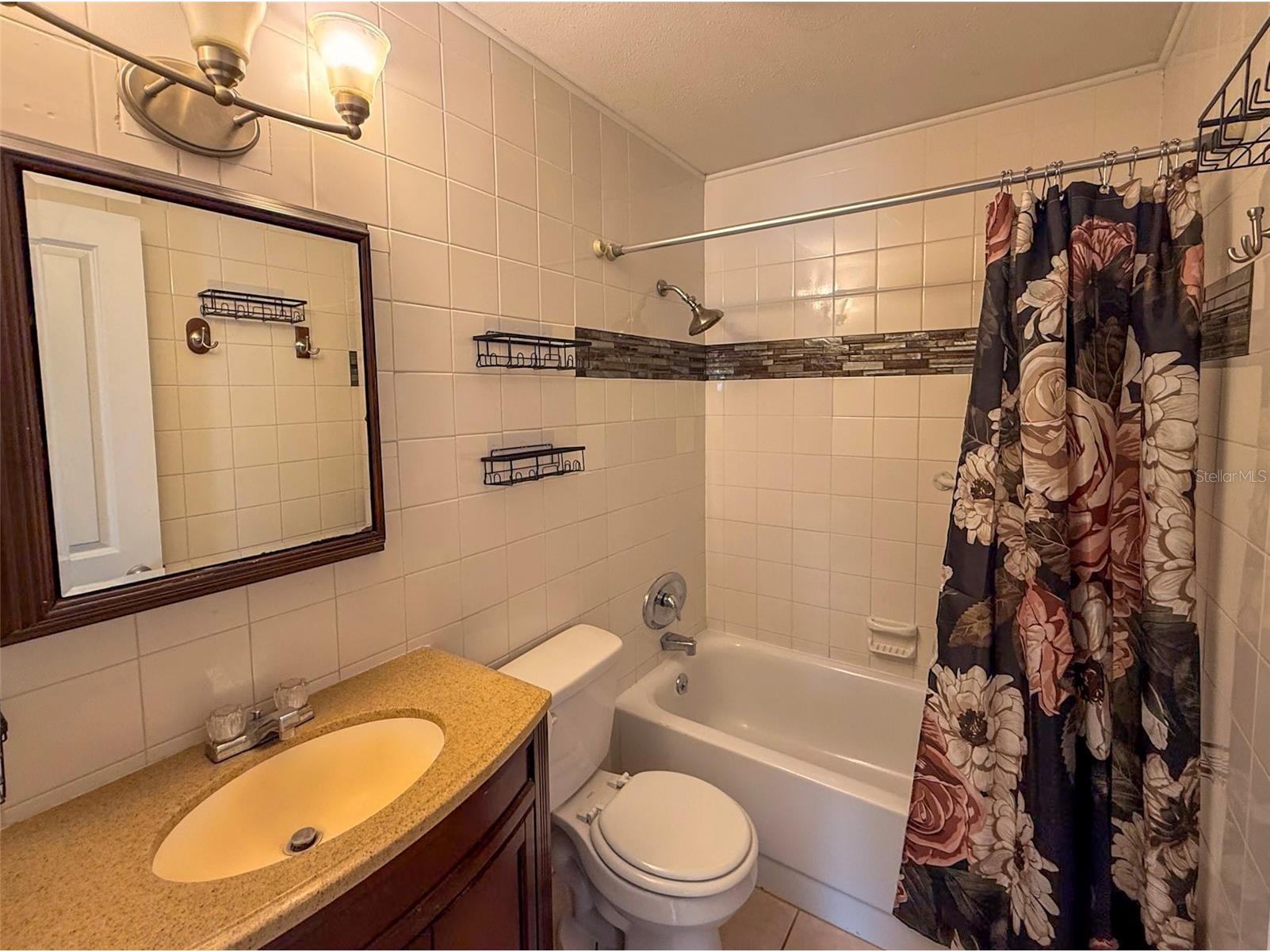 880 Emerald Dr Mount Dora FL 32757 O6416330 image31