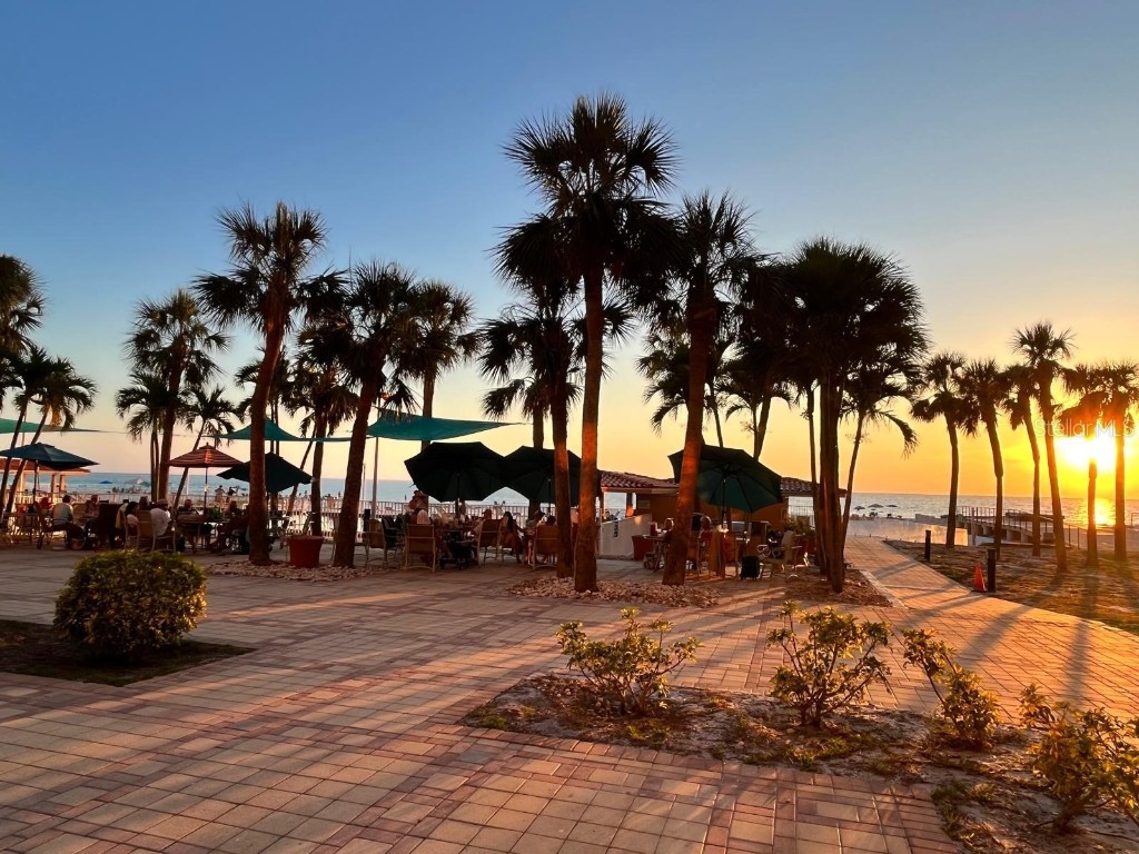 880 Mandalay Avenue #C206 Clearwater Beach FL 33767 - GULF OF MEXICO/GULF OF AMERICA TB8405598 image42