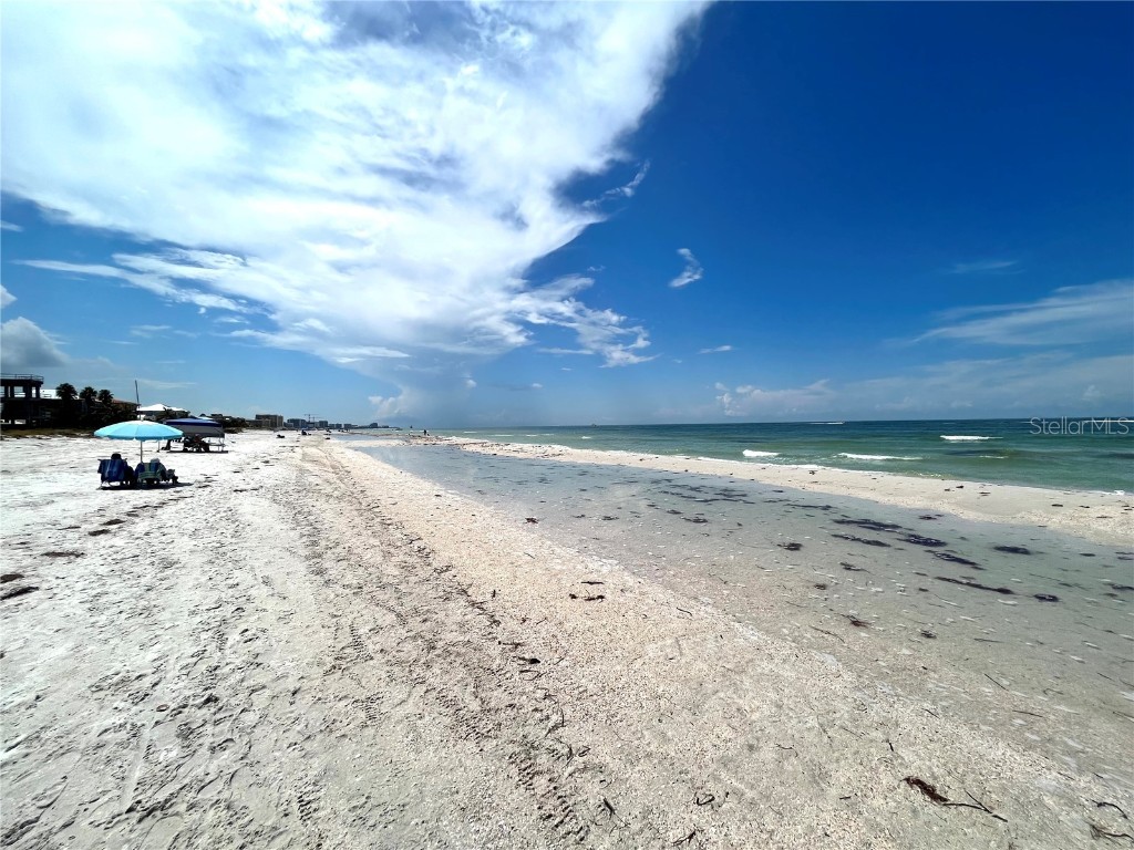 880 Mandalay Avenue #C206 Clearwater Beach FL 33767 - GULF OF MEXICO/GULF OF AMERICA TB8405598 image56