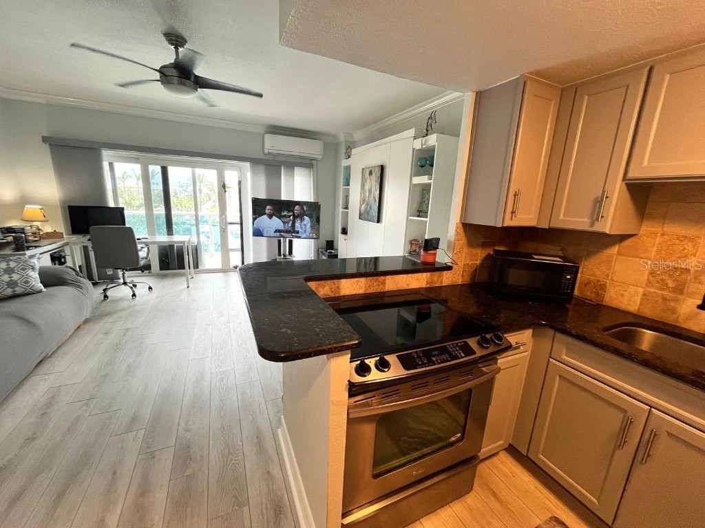 880 Mandalay Avenue #C206 Clearwater Beach FL 33767 - GULF OF MEXICO/GULF OF AMERICA TB8405598 image8