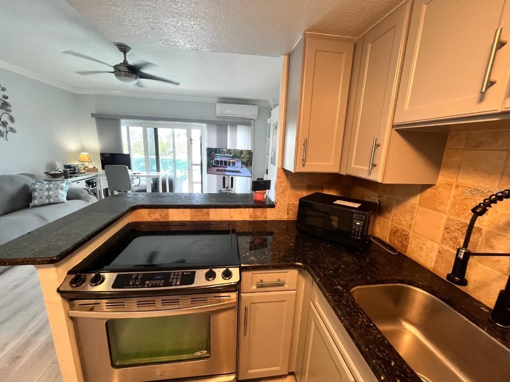 880 Mandalay Avenue #C206 Clearwater Beach FL 33767 - GULF OF MEXICO/GULF OF AMERICA TB8405598 image9