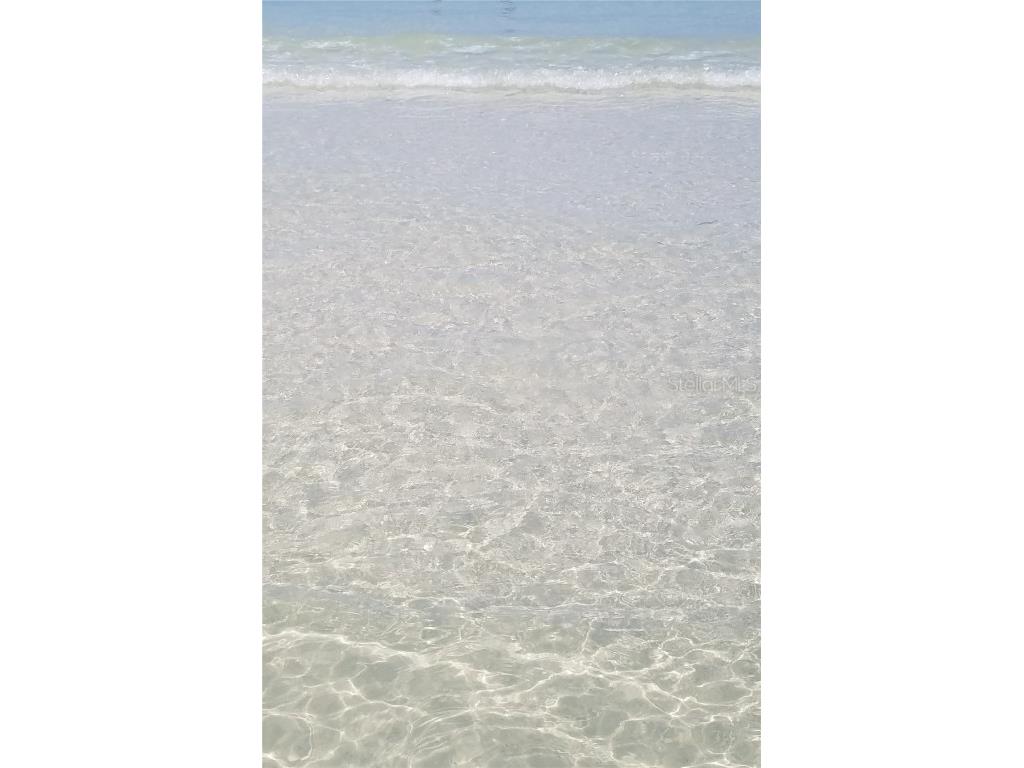 880 Mandalay Avenue #C301 Clearwater FL 33767 T3417633 image2