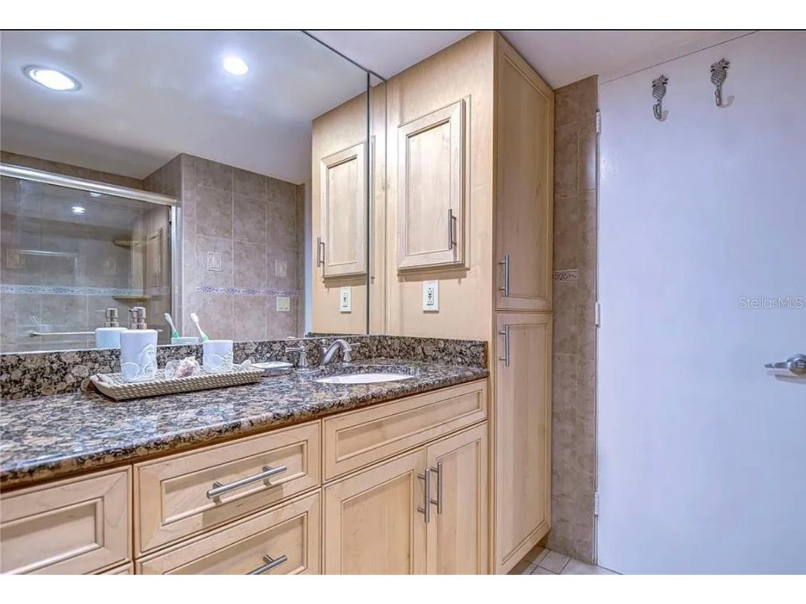 880 Mandalay Avenue #C410 Clearwater FL 33767 - GULF OF MEXICO TB8459140 image11