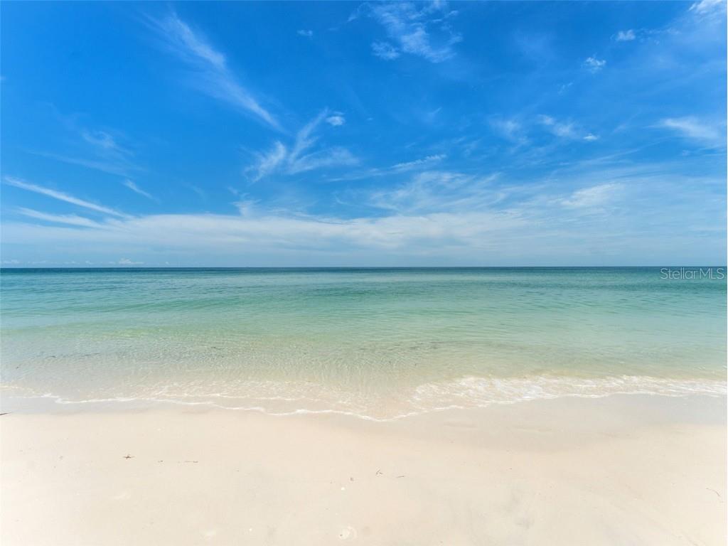 880 Mandalay Avenue #C512 Clearwater Beach FL 33767 - GULF TB8401963 image26