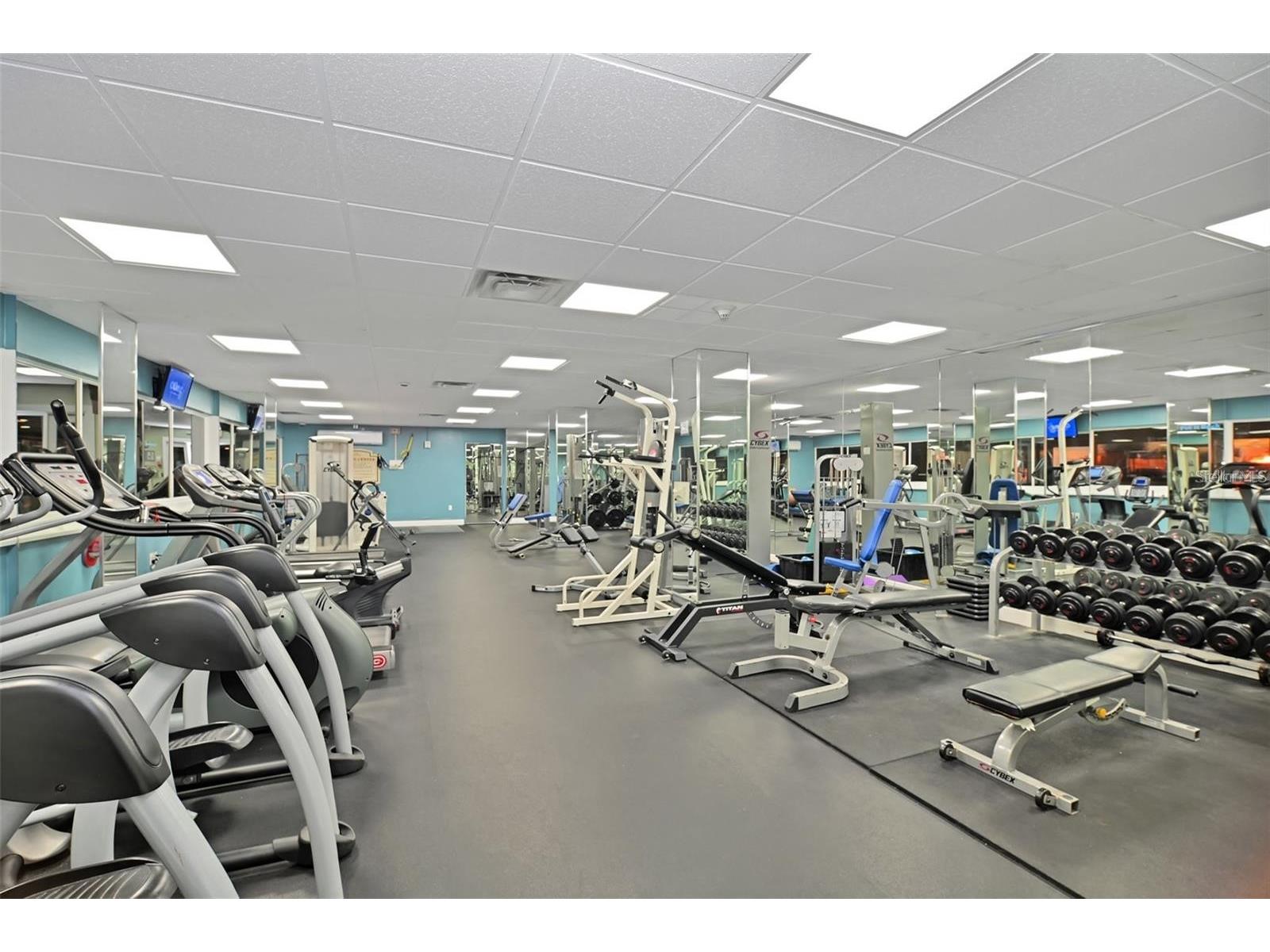 880 Mandalay Avenue #C615 Clearwater Beach FL 33767 - GULF OF MEXICO/GULF OF AMERICA TB8446488 image54