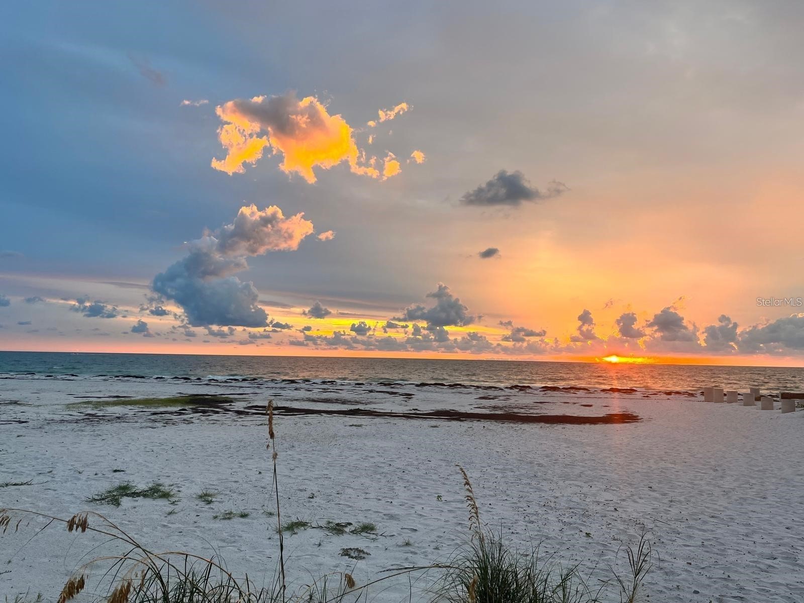 880 Mandalay Avenue #C615 Clearwater Beach FL 33767 - GULF OF MEXICO/GULF OF AMERICA TB8446488 image88